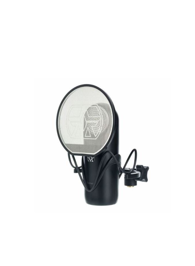 Aston  Cardioid Studio Microphone with Ridyon Capsule - Image 2