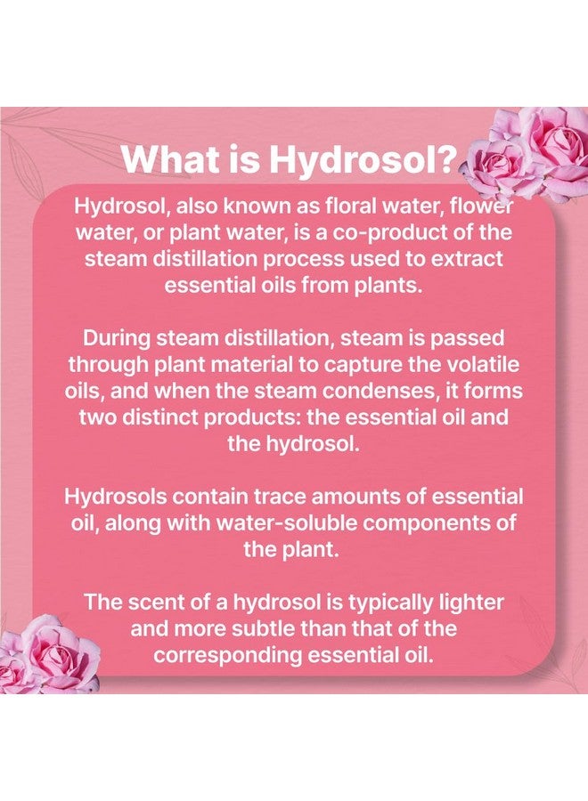 Vriksha Veda Rose Hydrosol I Steam Distilled I Rose Hydrosol For face Hydrating Facial Toner I For all skin types I Unisex (100 ML) - Image 3