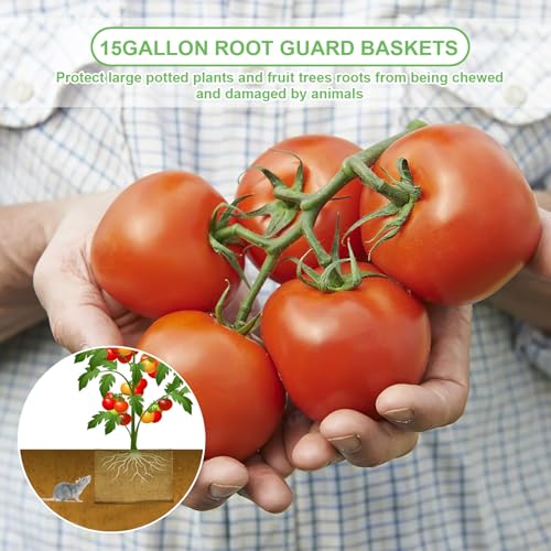 Foyego 4Pcs 15 Gallon Root Guard Baskets for Plants, Underground Stainless Steel Wire Mesh Cages Gopher and Vole Wire Basket Protect the Roots of Large Plants - Image 5