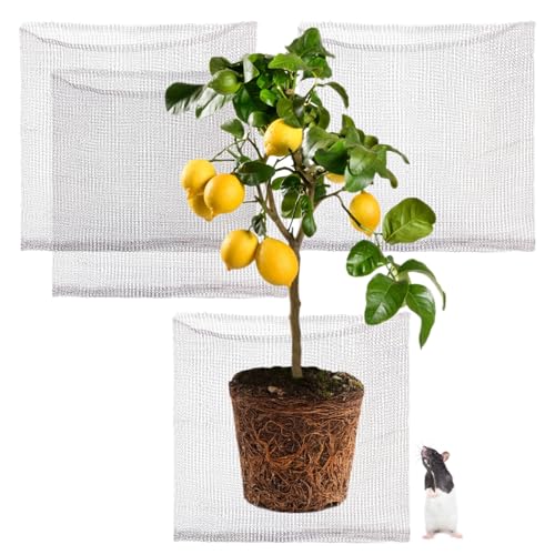 Foyego 4Pcs 15 Gallon Root Guard Baskets for Plants, Underground Stainless Steel Wire Mesh Cages Gopher and Vole Wire Basket Protect the Roots of Large Plants - Image 1