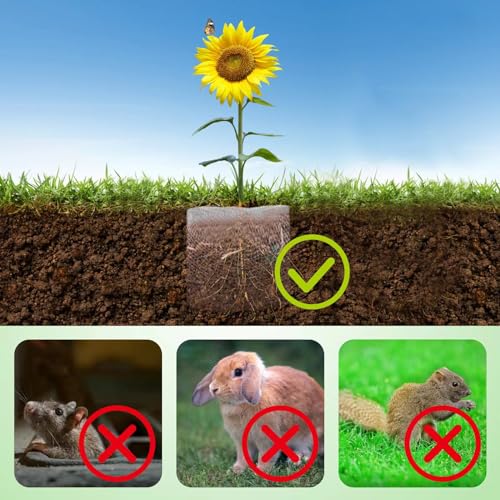 Foyego 4Pcs 15 Gallon Root Guard Baskets for Plants, Underground Stainless Steel Wire Mesh Cages Gopher and Vole Wire Basket Protect the Roots of Large Plants - Image 3