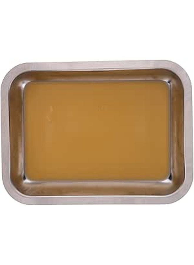 Stainless Steel Dissection Tray with Wax Lining for Biology Laboratory Specimen Handling - Image 1