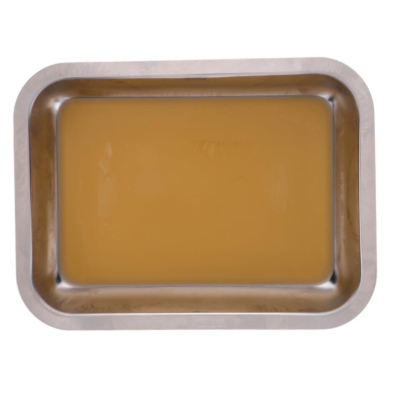 Stainless Steel Dissection Tray with Wax Lining for Biology Laboratory Specimen Handling - Image 2