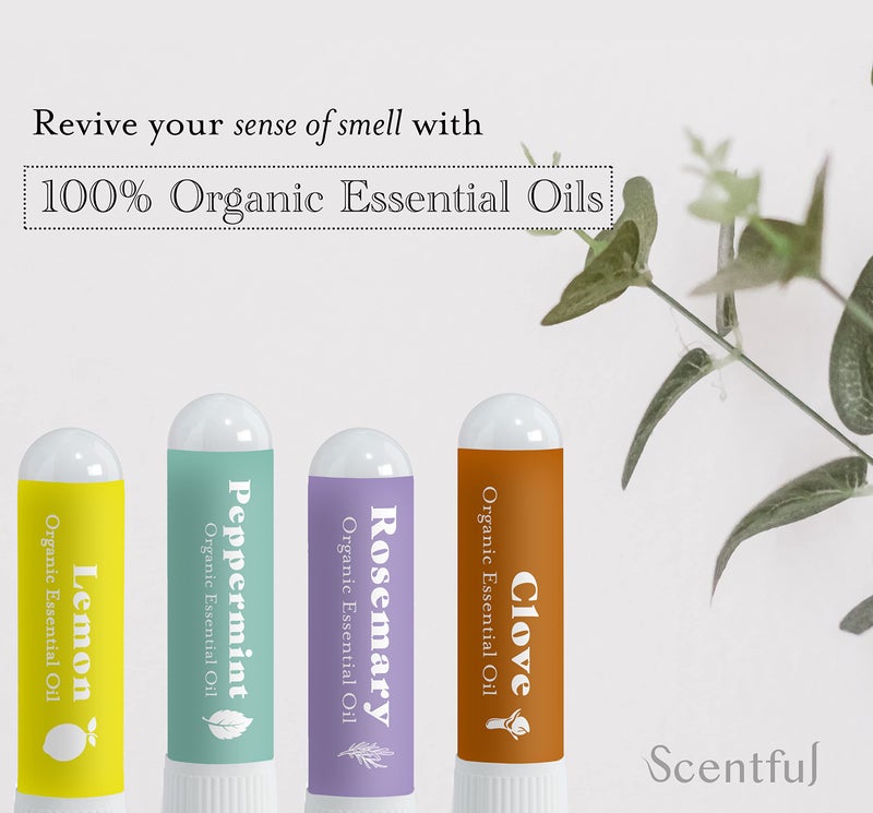 scentful مجموعة تدريب الشم SCENTFUL لفقدان حاسة الشم، علاج إعادة تدريب الشم، استعادة حاسة الشم والتذوق، مصنوعة في الولايات المتحدة مع زيوت أساسية عضوية - Image 2