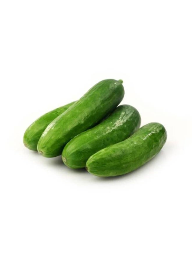 Snack Cucumbers, 500g, UAE