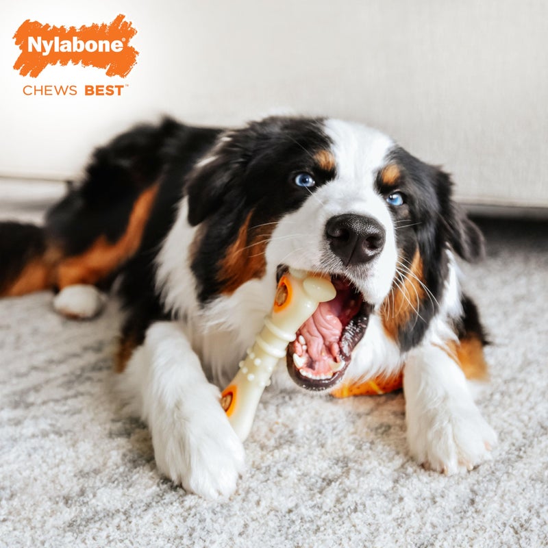 Nylabone Knuckle Bone Pop-In Treat Toy Power Chew Toy for Dogs, Interactive Treat Dispensing Enrichment Dog Toy, Long Lasting Chicken Flavor, Medium Dogs - Up to 35 lbs - Image 3