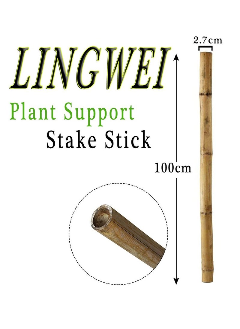 LINGWEI - 8 pcs Plant Stakes Natural Garden Bamboo Sticks for Indoor and Outdoor Plants - Image 1