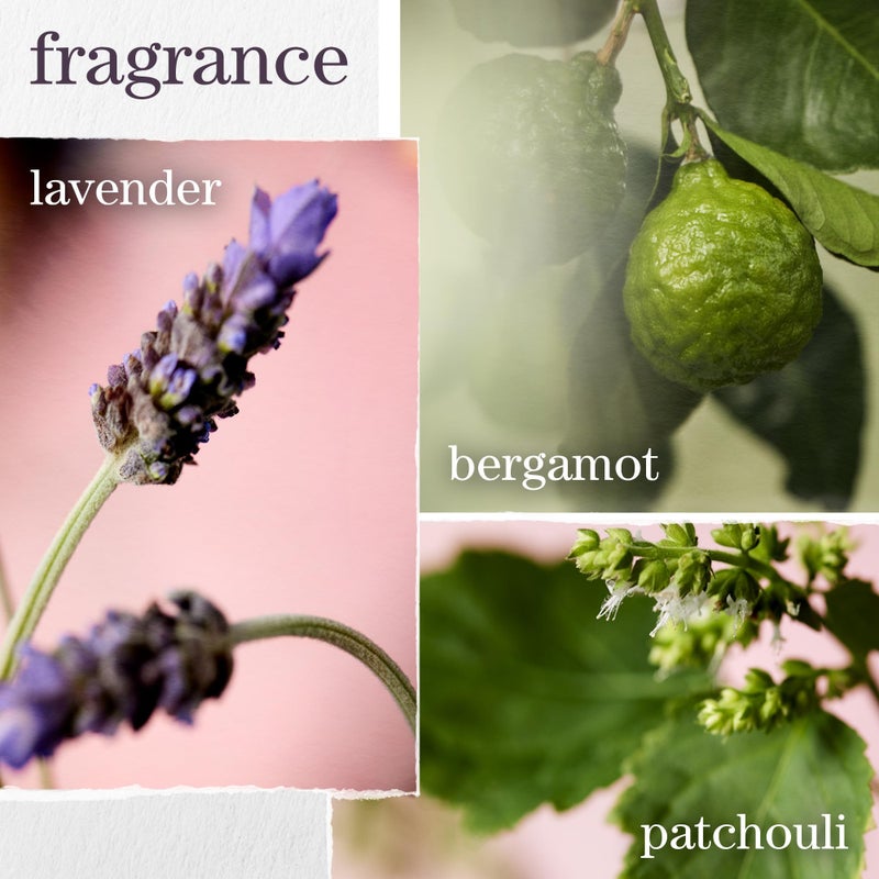 Pureology Hydrate Sheer Shampoo - Lightweight, Moisturizing Shampoo For Fine, Dry, Color Treated Hair, Sulfate-Free & Vegan - Image 5