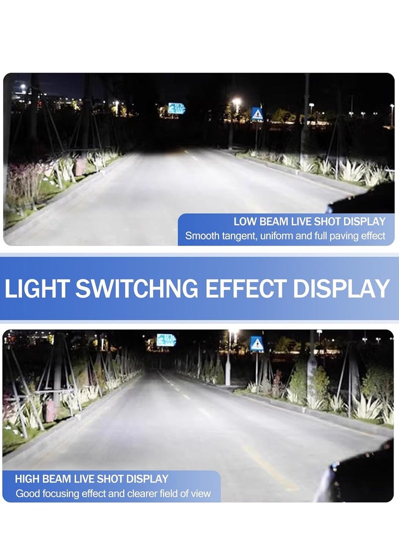 Loquat 2-Piece PREMIUM 9006 Halogen Headlight Bulb 12V 55W – Super Bright Quartz Glass, Anti-UV, Plug-and-Play, Durable Car Headlight for Night Driving and All Weather Conditions - Image 4