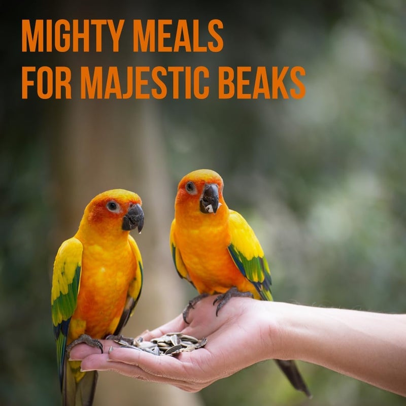 BRANDSFINITY Premium Bird Feed For Parrots - Image 3