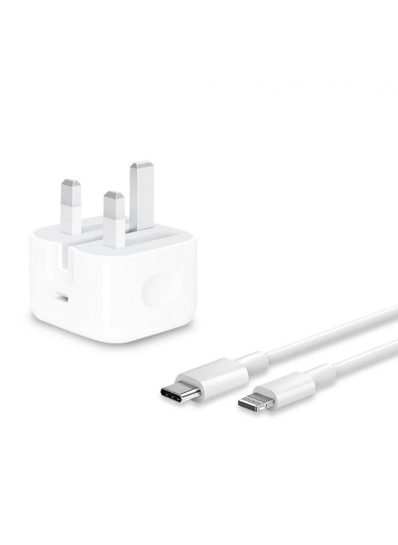 Generic - Ultimate Iphone Accessory Bundle Fish Charger Cable and Wired Headphones - Image 1