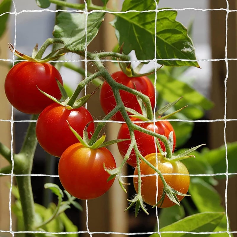 Tcamp Heavy-Duty Polyester Garden Trellis Net Plant Support Netting for Climbing Plants Outdoor, Flexible String Net for Bean Pea, White Grow Tent (5Ft x 30Ft, 3.5" Opening Mesh, 1 Pack) - Image 5