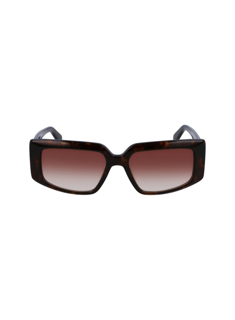 Liu Jo FULL RIM METAL ACETATE LIU JO SUNS LJ791S 5416 (240) TORTOISE - Image 2