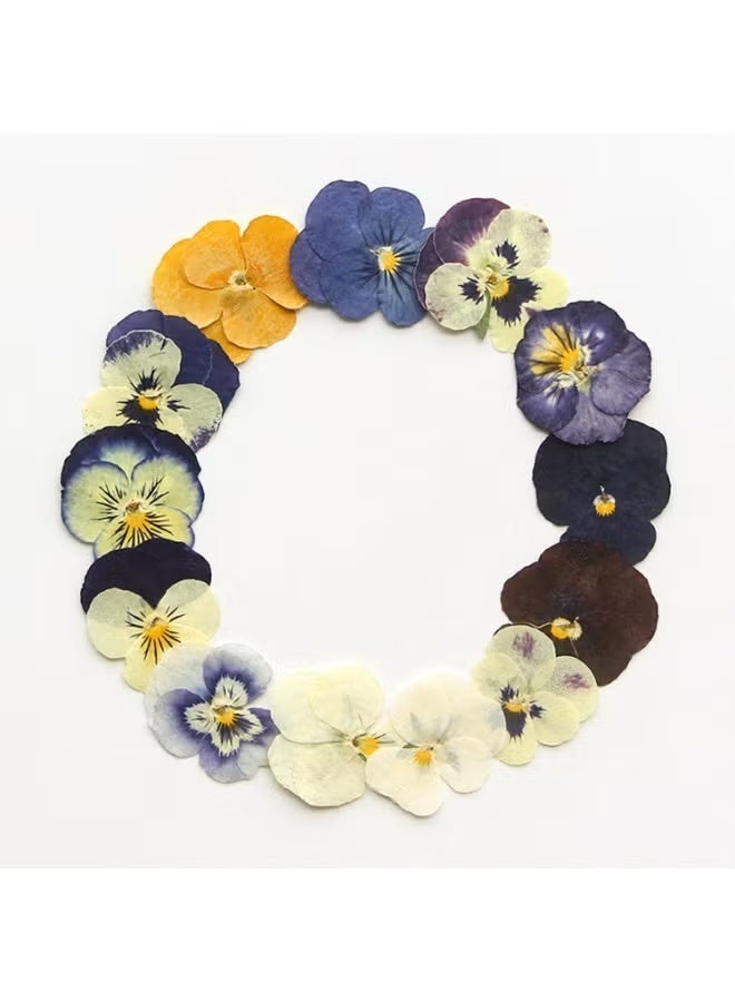 54 Pcs Dried Pressed Flowers for Resin DIY Art Crafts Natural Dry Floral Epoxy Jewelry Real Flower Decor Cakes Phone Cases Candles Handmade Soap Purple Pansy - Image 3