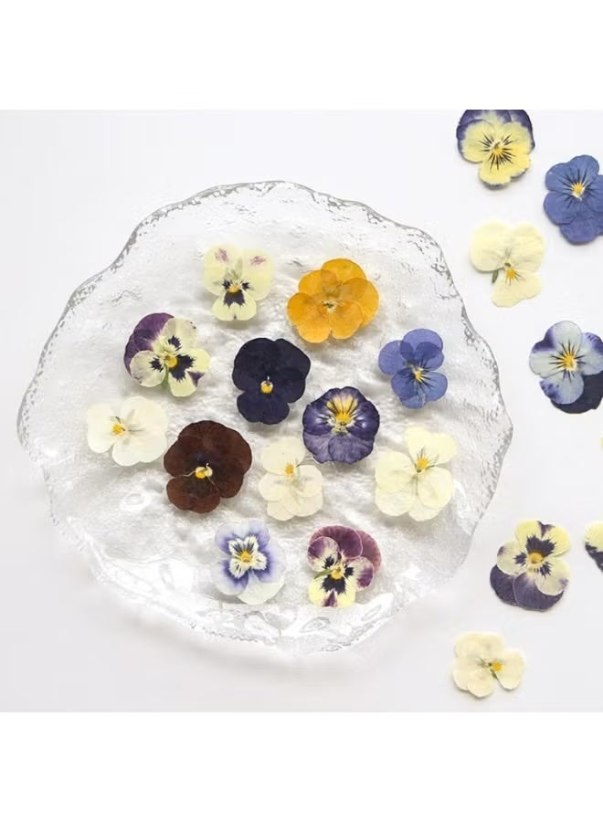54 Pcs Dried Pressed Flowers for Resin DIY Art Crafts Natural Dry Floral Epoxy Jewelry Real Flower Decor Cakes Phone Cases Candles Handmade Soap Purple Pansy - Image 1