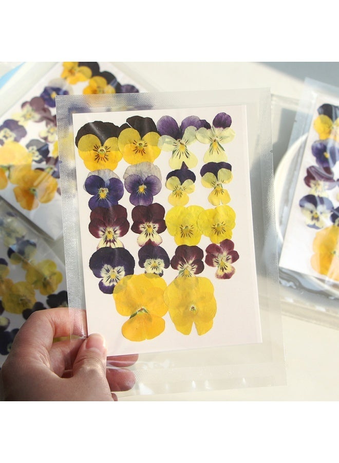54 Pcs Dried Pressed Flowers for Resin DIY Art Crafts Natural Dry Floral Epoxy Jewelry Real Flower Decor Cakes Phone Cases Candles Handmade Soap Purple Pansy - Image 2