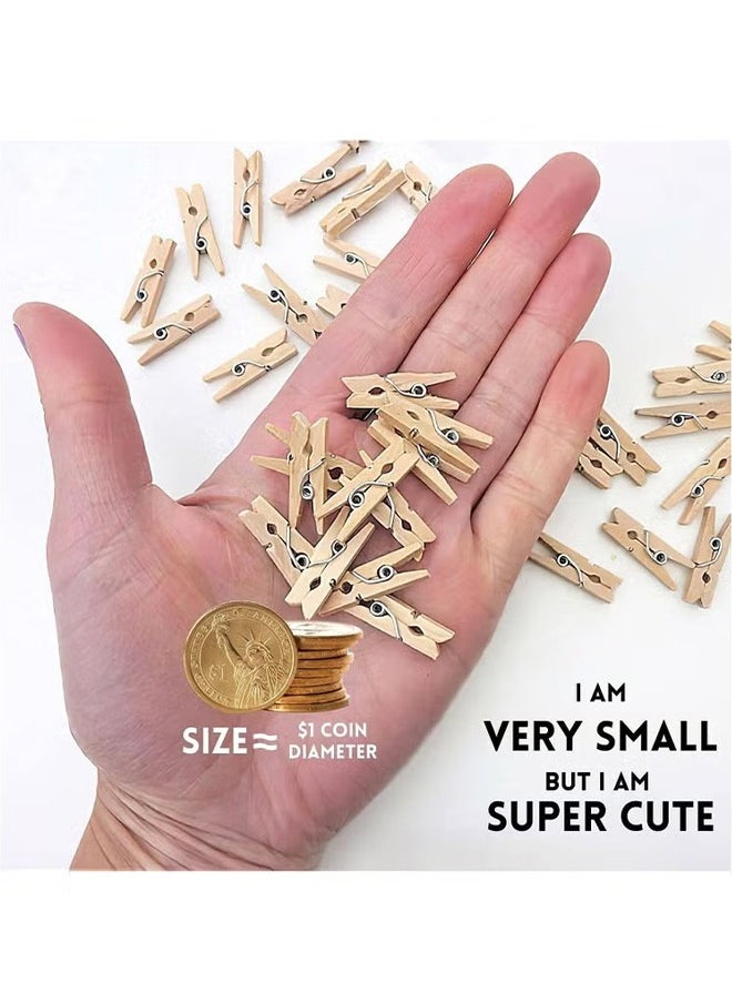 HY - 300 Pcs Mini Clothespins, Mini ClothesPins for Photo Natural Wooden Small Picture Clips for Crafts 1 Inch Tiny Pegs with Jute Twine String Decorative Wood Clips for Wall Hanging Pictures - Image 1