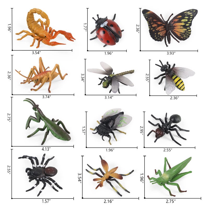 SIENON Realistic Insect Toys Figures-12Pcs Large Plastic Bugs Figurines Set with Ladybug Bee Butterfly Ant Cricket Mantis Scorpion Spider-School Project Halloween Insect Theme Birthday Party Favors - Image 2