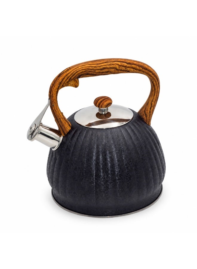 HausRoland Whistling Tea Kettle, Dotted Silver Striped, Stovetop Tea Kettle, Stainless Teapot, 3.5 Liters with Dotted Grain Handles, Fast Boiling, Perfect for Homes, Picnics, and Parties - Image 1