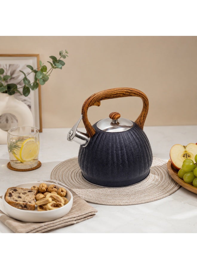 HausRoland Whistling Tea Kettle, Dotted Silver Striped, Stovetop Tea Kettle, Stainless Teapot, 3.5 Liters with Dotted Grain Handles, Fast Boiling, Perfect for Homes, Picnics, and Parties - Image 2
