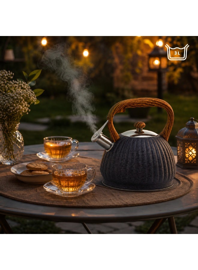 HausRoland Whistling Tea Kettle, Dotted Silver Striped, Stovetop Tea Kettle, Stainless Teapot, 3.5 Liters with Dotted Grain Handles, Fast Boiling, Perfect for Homes, Picnics, and Parties - Image 5
