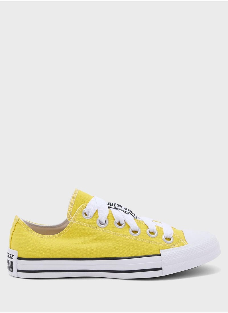 CONVERSE Chuck Taylor All Star  - Image 1