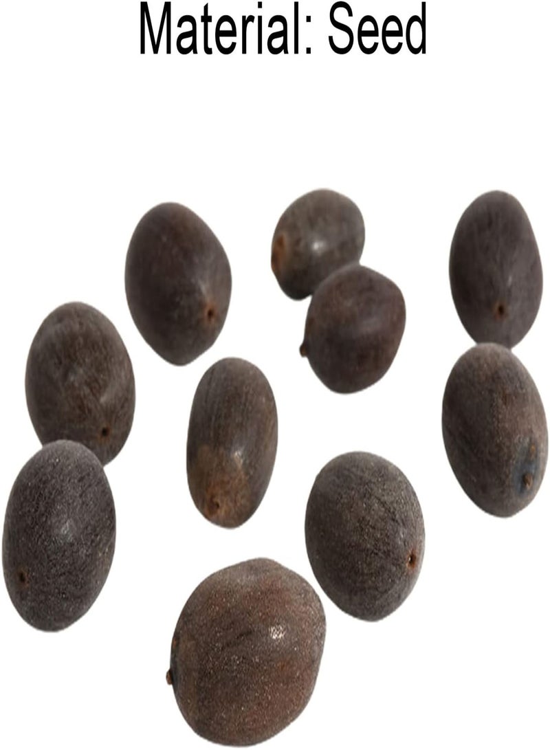 GGOOT 20Pcs Lotus Seeds Easy to Plant Flowering Plants Viable Indoor Outdoor Sowing Bonsai Seeds Easy Gardening \u2013 for Your Beautiful Summer Garden - Yellow  - Image 4