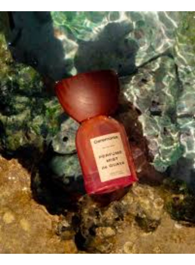 CEREMONIA عطر سيريمونيا ميست دي جوافة 50 مل - Image 3