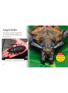 Beetles Around the World: Band 06/Orange  - Image 2