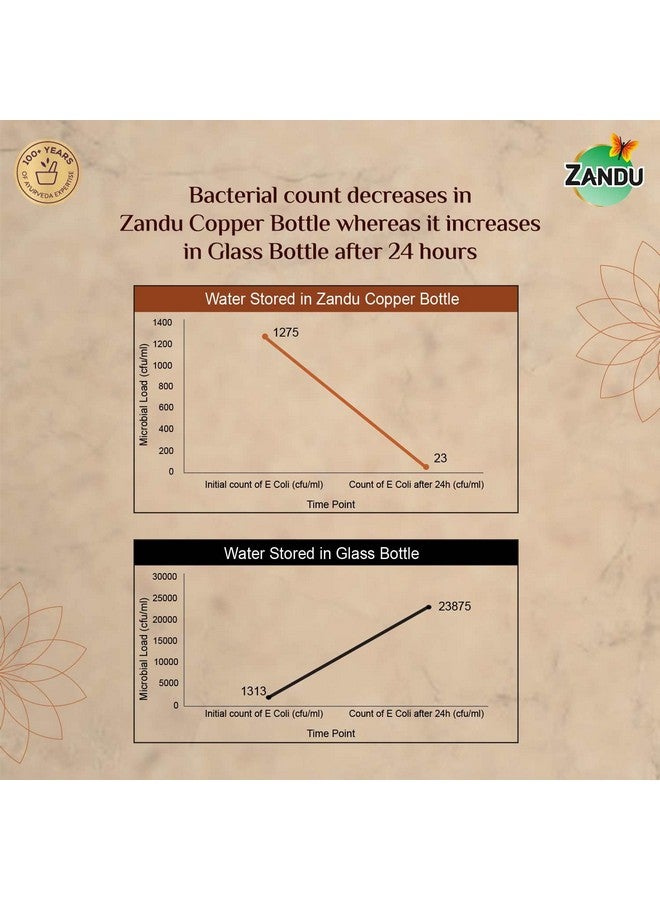 Zandu زاندو زجاجة نحاسية (950 مل): زجاجة مياه خالية من BPA بنسبة 100% | مياه مشبعة بالنحاس | مقاومة للتسرب | للاستخدام في المكتب | تعزز المناعة | تدعم صحة الجهاز الهضمي والكبد | مستوحاة من الأيورفيدا - Image 3