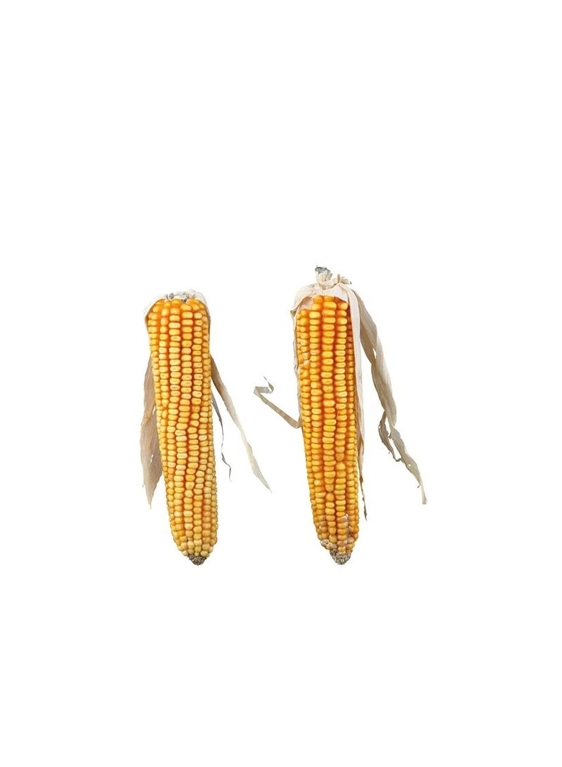 تريكسي كوز الذرة تريكسي مع قشور الحيوانات الأليفة الصغيرة - Image 3