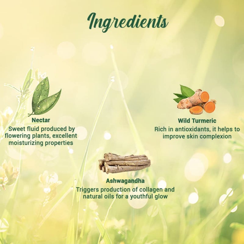 Biotique Morning Nectar - 190 ml - Image 4