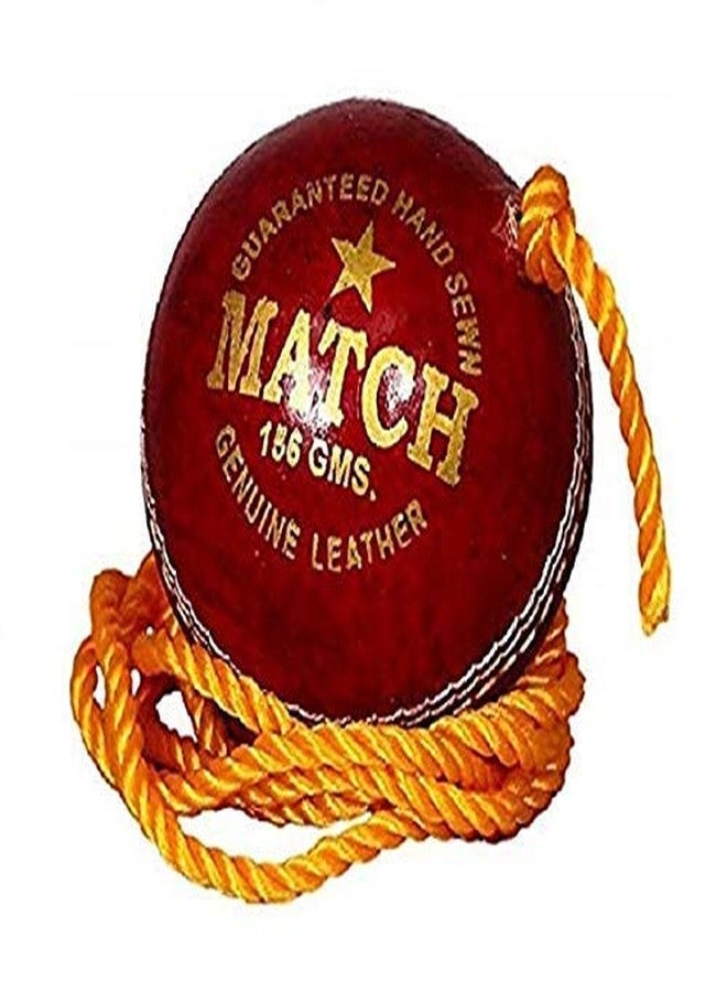 Skygold Top Team Leather Cricket Shot Practice Hanging Ball, String Cricket Ball with Rope (Pack of 1) - Image 1