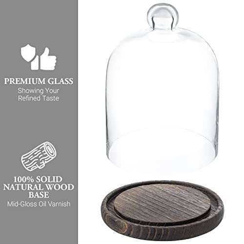 MyGift Clear Cloche Glass Dome,9 Inch Display Bell Jar with Top Handle and Rustic Brown Solid Wood Base - Image 3