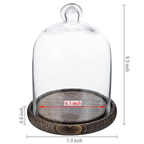 MyGift Clear Cloche Glass Dome,9 Inch Display Bell Jar with Top Handle and Rustic Brown Solid Wood Base - Image 2