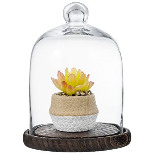 MyGift Clear Cloche Glass Dome,9 Inch Display Bell Jar with Top Handle and Rustic Brown Solid Wood Base - Image 5