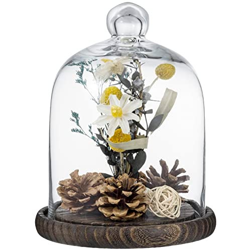 MyGift Clear Cloche Glass Dome,9 Inch Display Bell Jar with Top Handle and Rustic Brown Solid Wood Base - Image 1