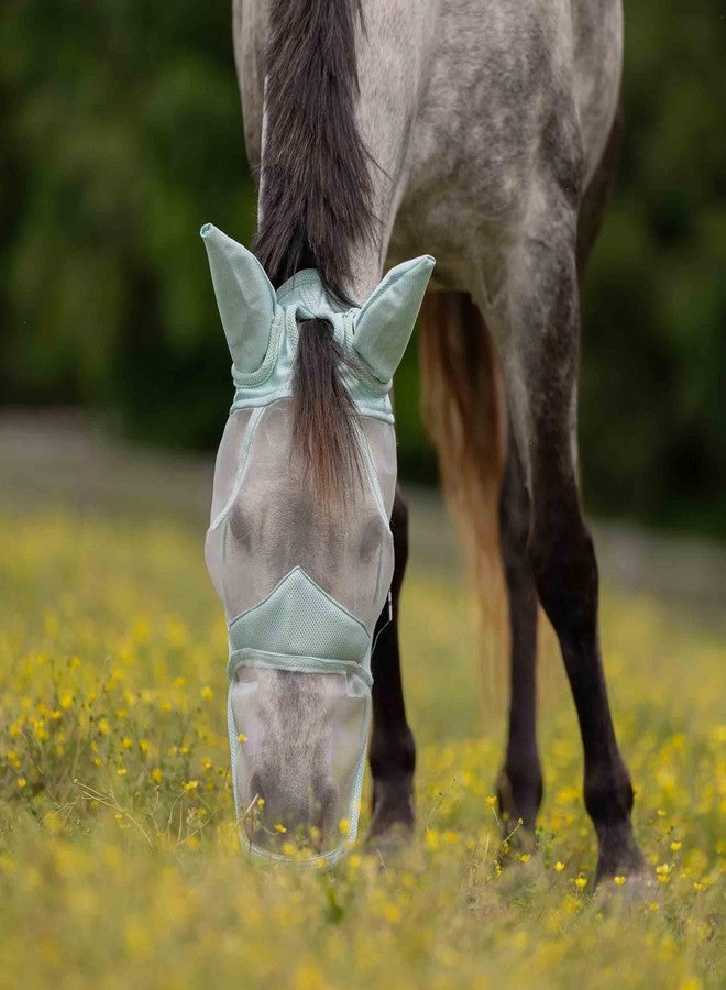 Equinavia Algard Soft Mesh Long Nose Fly Mask - Misty Jade - Horse - Image 5