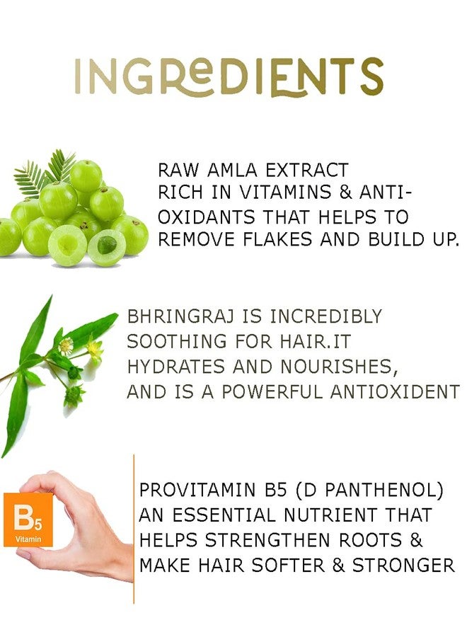 QUAT Bhringraj Amla Conditioner, Nourishes, Repair & Shine, For Long and Lifeless Hair, Dream Lengths (250ml) - Image 3