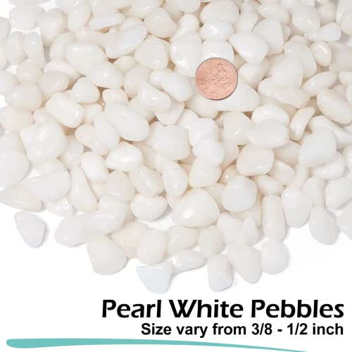 GASPRO 5lb Pebbles for Indoor Plants, Vases, Succulent, 3/8" Small Decorative White Rocks, High Polished - Image 2
