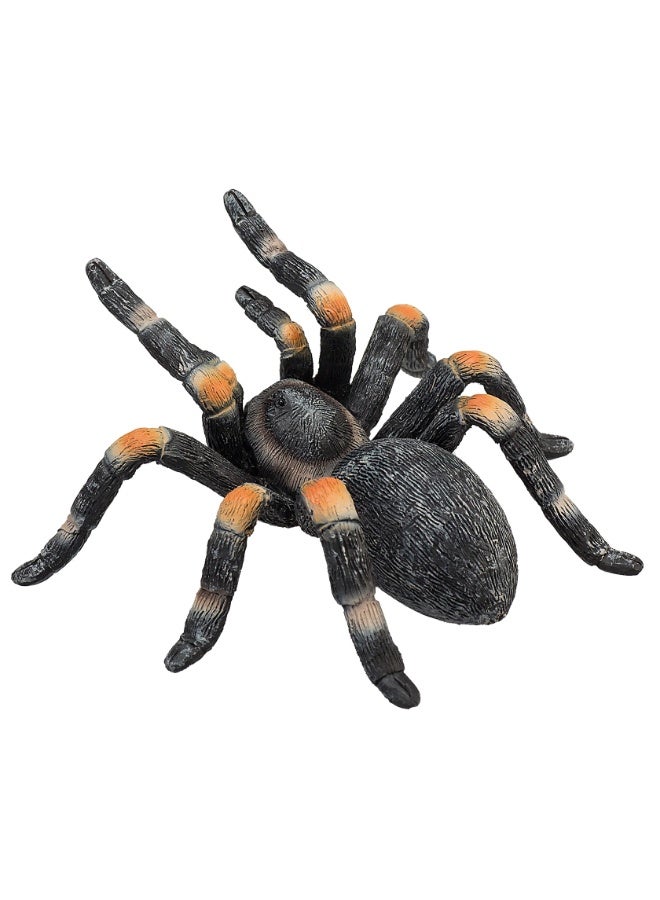 Mojo Red Kneed Tarantula -M - Image 4