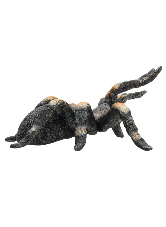 Mojo Red Kneed Tarantula -M - Image 1