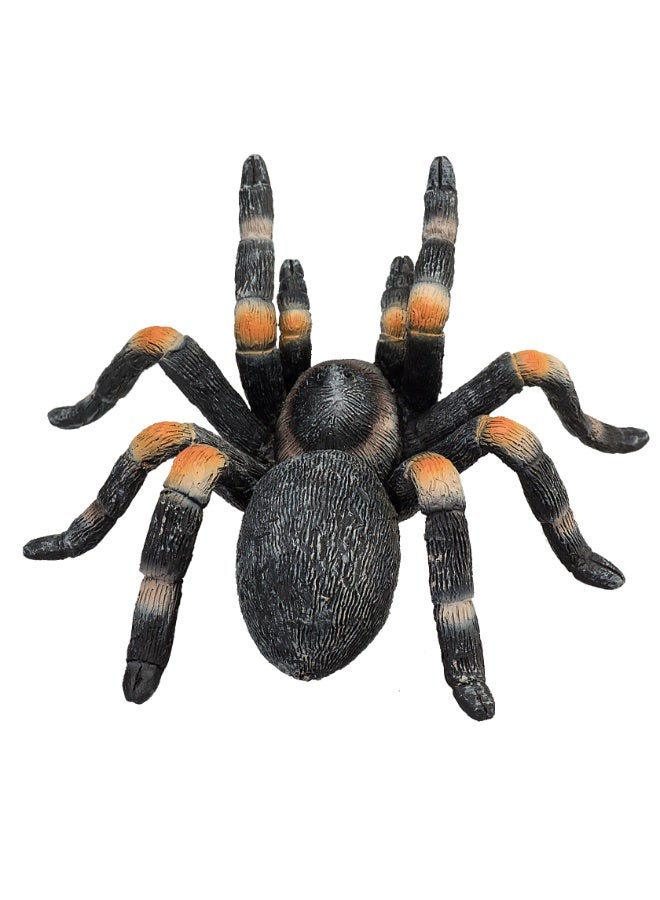 Mojo Red Kneed Tarantula -M - Image 3