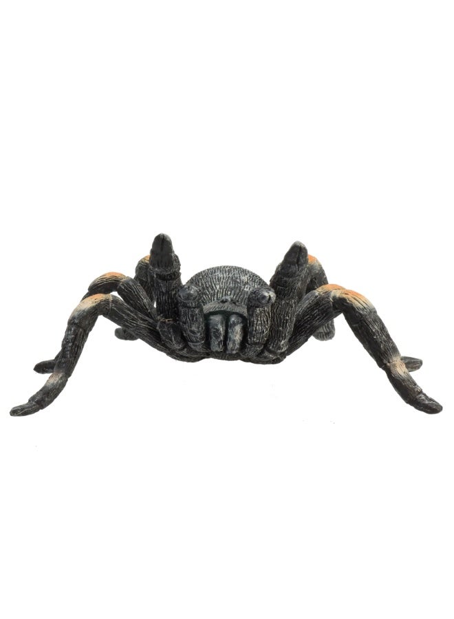 Mojo Red Kneed Tarantula -M - Image 2