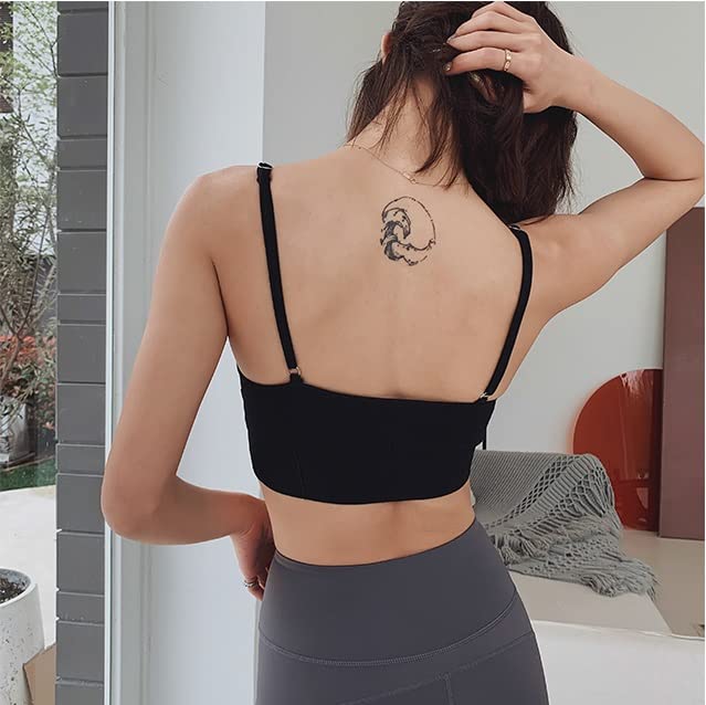 Mysha Women Cotton Padded Bra Combo Pack of 3 | Soft, Comfortable, and Breathable Fabric | Removable Pads, Adjustable Straps for Everyday Wear - Image 3