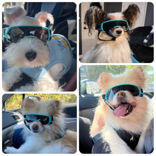 Billionchains Dog Goggles for Small Dog Doggy Goggles with Adjustable Straps AntiUV Doggie Sunglasses Windproof Eye Protection to Small Breed Blue - Image 3