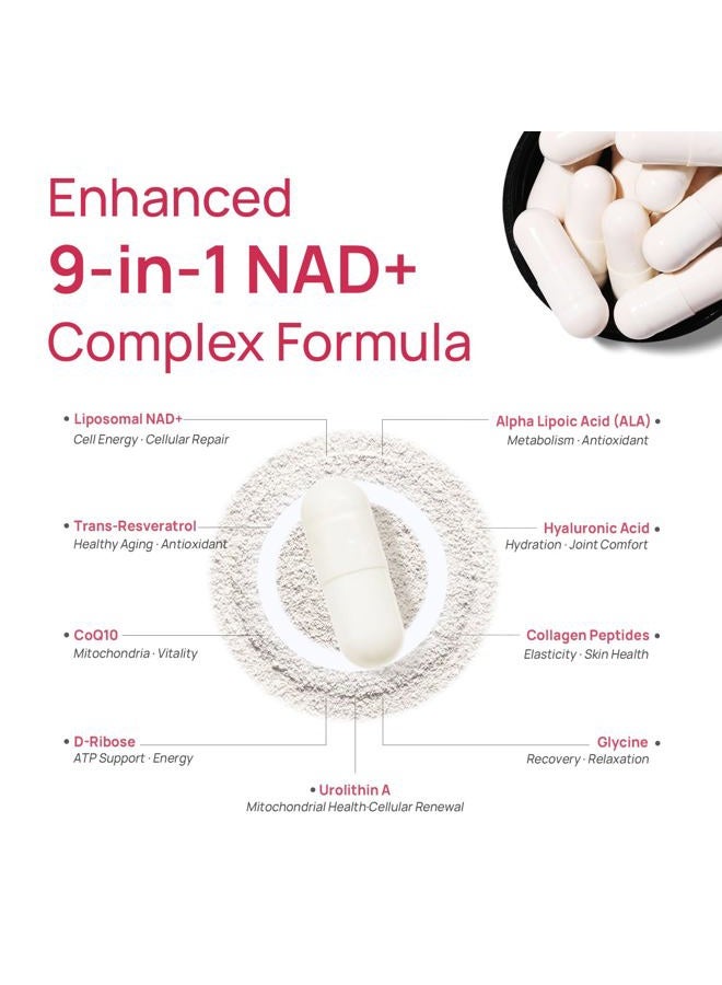 Selerb Nad+ Supplement For Women Nmn Alternative Liposomal - Nicotinamide Riboside, Trans-Resveratrol, Coq10, D-Ribose - Supports Cell Renewal, Energy & Skin Health - 60 Capsules - Image 4