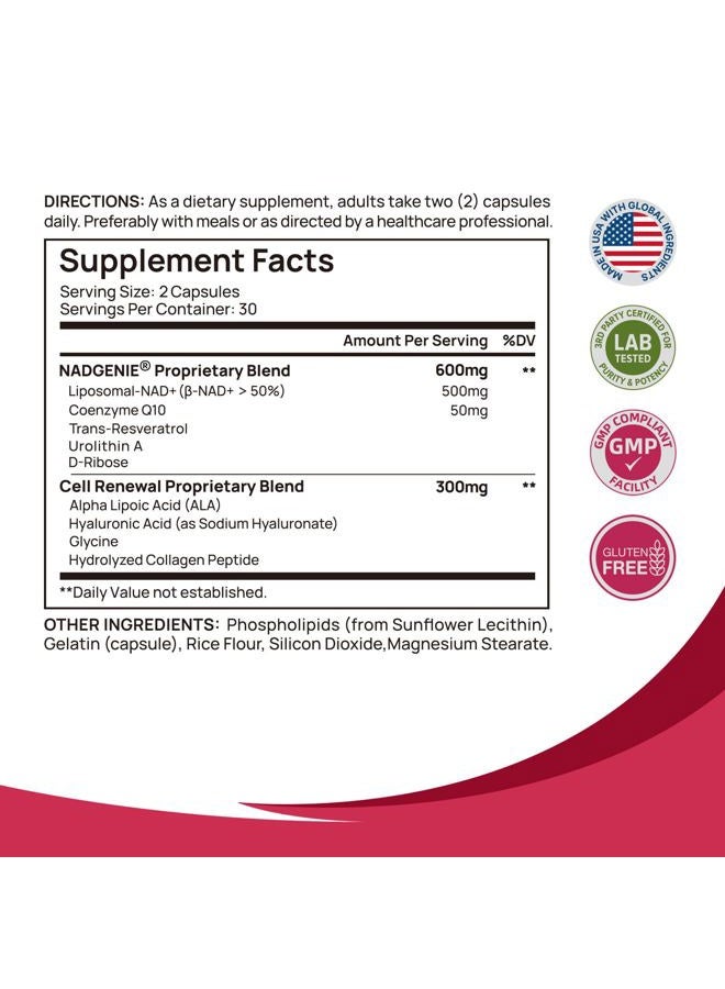 Selerb Nad+ Supplement For Women Nmn Alternative Liposomal - Nicotinamide Riboside, Trans-Resveratrol, Coq10, D-Ribose - Supports Cell Renewal, Energy & Skin Health - 60 Capsules - Image 3