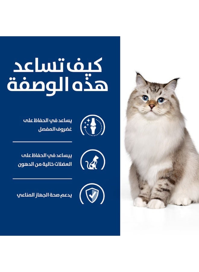 هيلز دراي فود هيلز لدعم المفاصل j/d 1.5 kg - Image 3