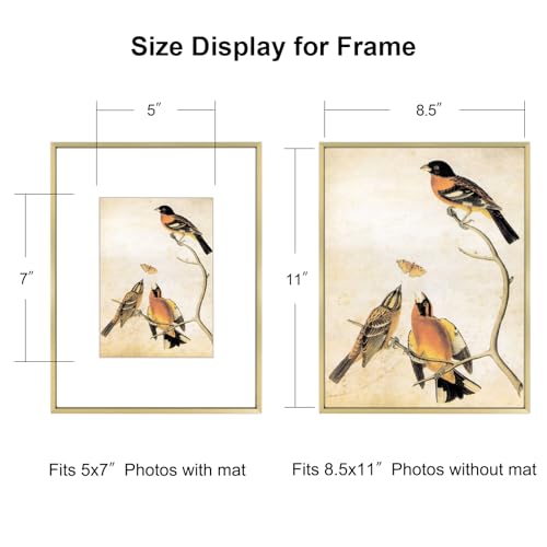 BKABOT 8.5x11 Picture Frame, Brass Metal Photo Frames with HD Glass, Fits 5x7 with Mat or 8.5 x 11 without Mat, Display for Wall and Table, 1 Pack - Image 2